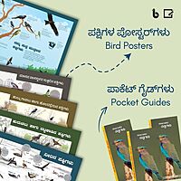 ಪ್ರಕೃತಿಯ ಪೆಟ್ಟಿಗೆ | Nature Education Kit (Kannada)