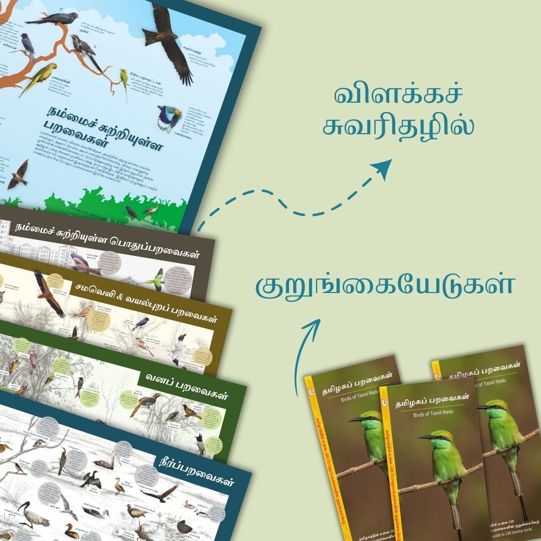 இயற்கைக் களஞ்சியம் | Nature Education Kit (Tamil) இயற்கைக் களஞ்சியம் | Nature Education Kit (Tamil)