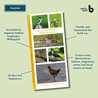 Pan-India Pocket Guides Kit Pan-India Pocket Guides Kit