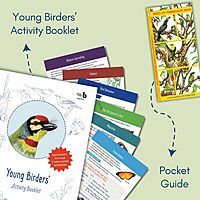 Young Birders' Kit