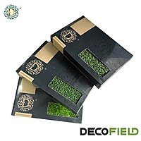 Artificial Turf Samples
