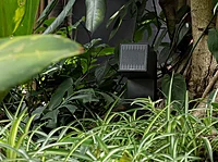 Magna Polly SPOT Green Speakers