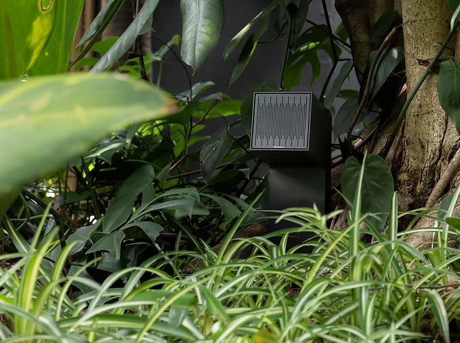 Magna Polly SPOT Green Speakers