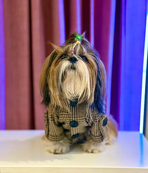Brown Checkered Winter Coat