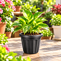 4.5 Inch Plastic Nursery Pot /ecsha