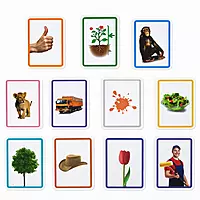 EVS Flashcards