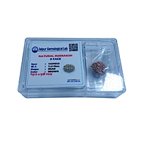 3 Mukhi Rudraksha Nepali