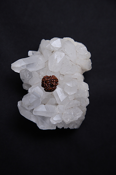 3 Face Nepalese Rudraksh