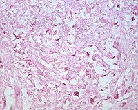 Carbol Fuchsin Dilute Staining Solution 500 ml CAS #56?23?5