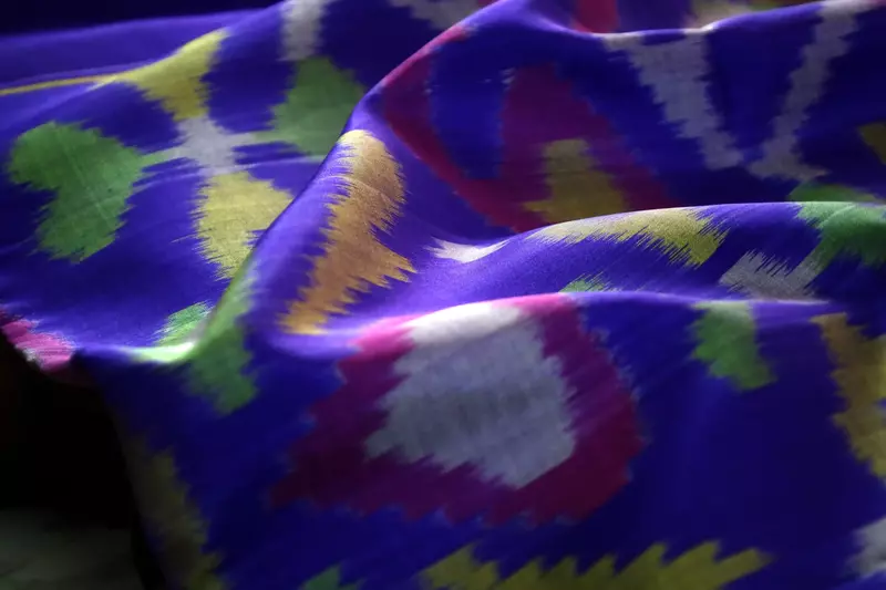 Purple Silk Saree with Multicolor Ikat Border and ikat blouse | Handwoven Ikat Silk Saree