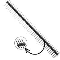 Male Berg strip -40X1