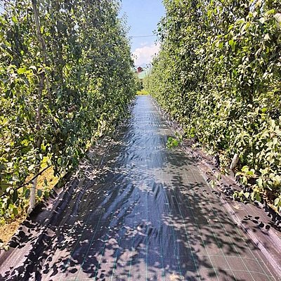 Weed Mat Sulzer Premium 5-7 Years