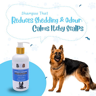 BWB GERMAN SHEPHERD SHAMPOO