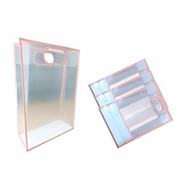 Pack of 6 – Transparent  Goodie Bags Clear Gift Bags Medium Brown Bags for Return Gift and More