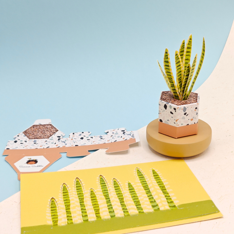 Mini Paper Plants – Set of 3 Illustrated DIY Desk Planters