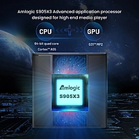 GVDI 900 Embedded Thin Client