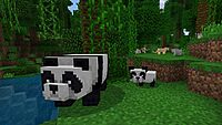 PS4 Minecraft Starter Collection |Playstation 4|
