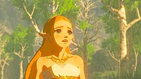 Nintendo The Legend of Zelda: Breath of the Wild |Switch| Pre owned|