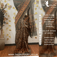 Munga Tusser silk saree with Kalamkari Prints YBRSTSK19037