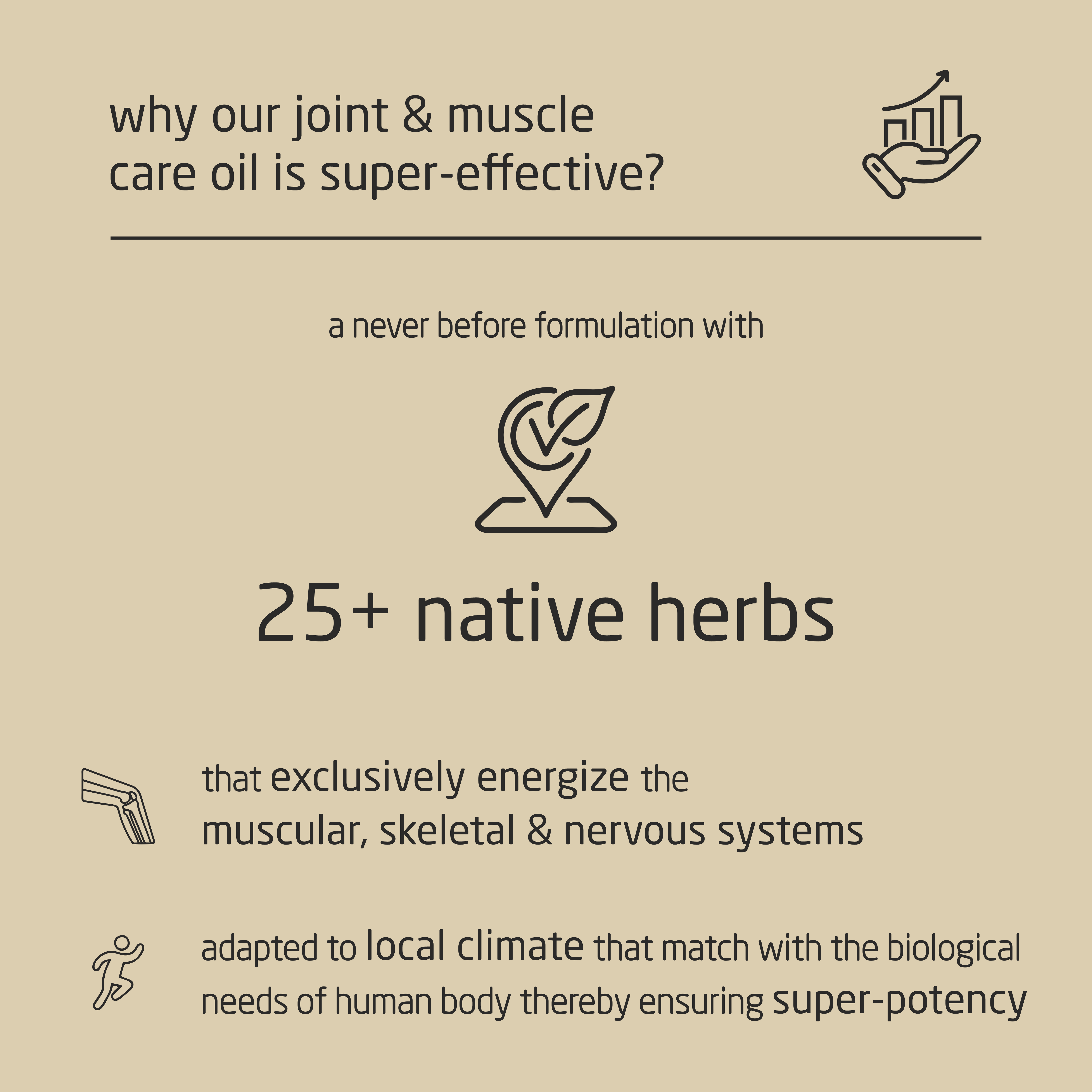 Premium Herbal Cold-Infused Joint & Muscle Care Oil - 100ml