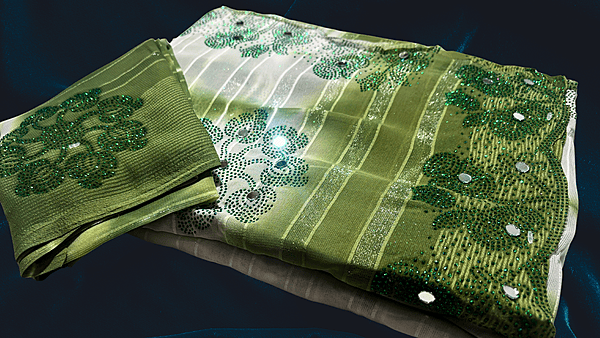 Sun Rose Aari Work Fancy Saree - Leaf Green