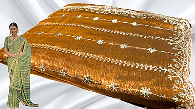 Rudha Space Designer Work Saree - Honey