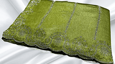 Show Time Fendy Stone Work Saree - Leaf Green