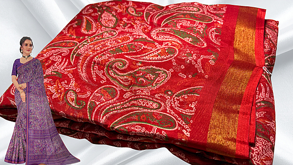 Kashmiri Silk Gold Patta Saree - Red