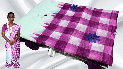 Soft Checks Mirror Work Saree - White & Plum