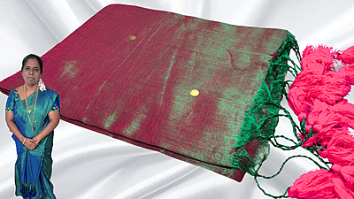 Khadi Tissue Mirror Work Saree - Pink Green