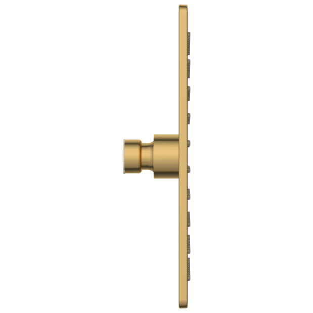 OS-GG-210 Rainfall Overhead Shower 8" x 8" Inch (Glossy Gold) SUS 304