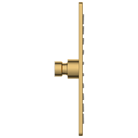 OS-GG-210 Rainfall Overhead Shower 8" x 8" Inch (Glossy Gold) SUS 304