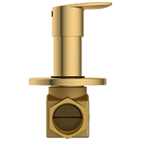 KA-GG-3125 Flush Valve 25mm Body With Upper Part Set (Gold)