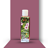 February Combo Offer – Anti Dandruff Care Kit