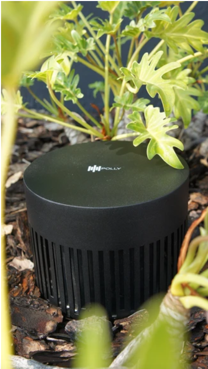 Magna Polly SUB Green Subwoofer