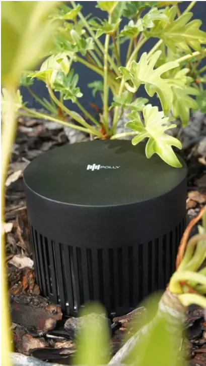 Magna Polly SUB Green Subwoofer