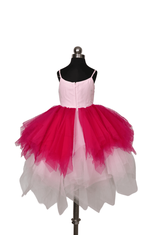 Pink Ombre Tulle Dress