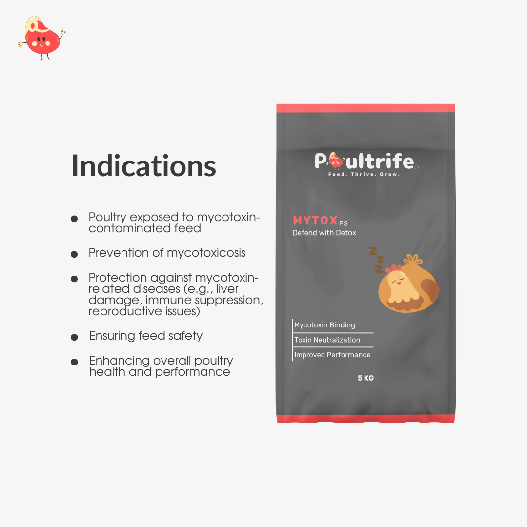 MYTOX FS – Advanced Mycotoxin Binder for Feed Safety
