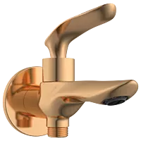 KA-RG-3106 2 Way Bib Tap With Wall Flange (Rose Gold)