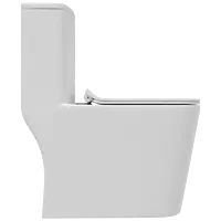 OPC-29121PP Lavish Washdown P Trap One Piece Closet With Soft Close Seat Cover With Hinges, Fixing Accessories Set and Accessories Set, Cistern Fittings