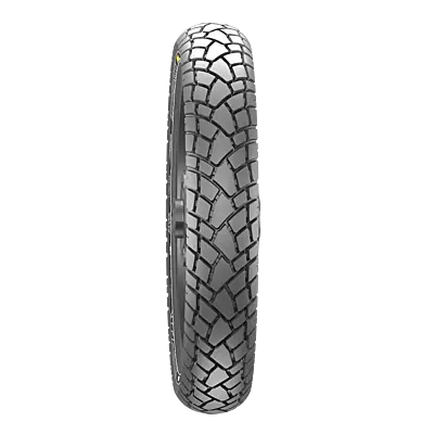 Reise TourR 30-01 56P Tubeless Tyre (100/90R18)