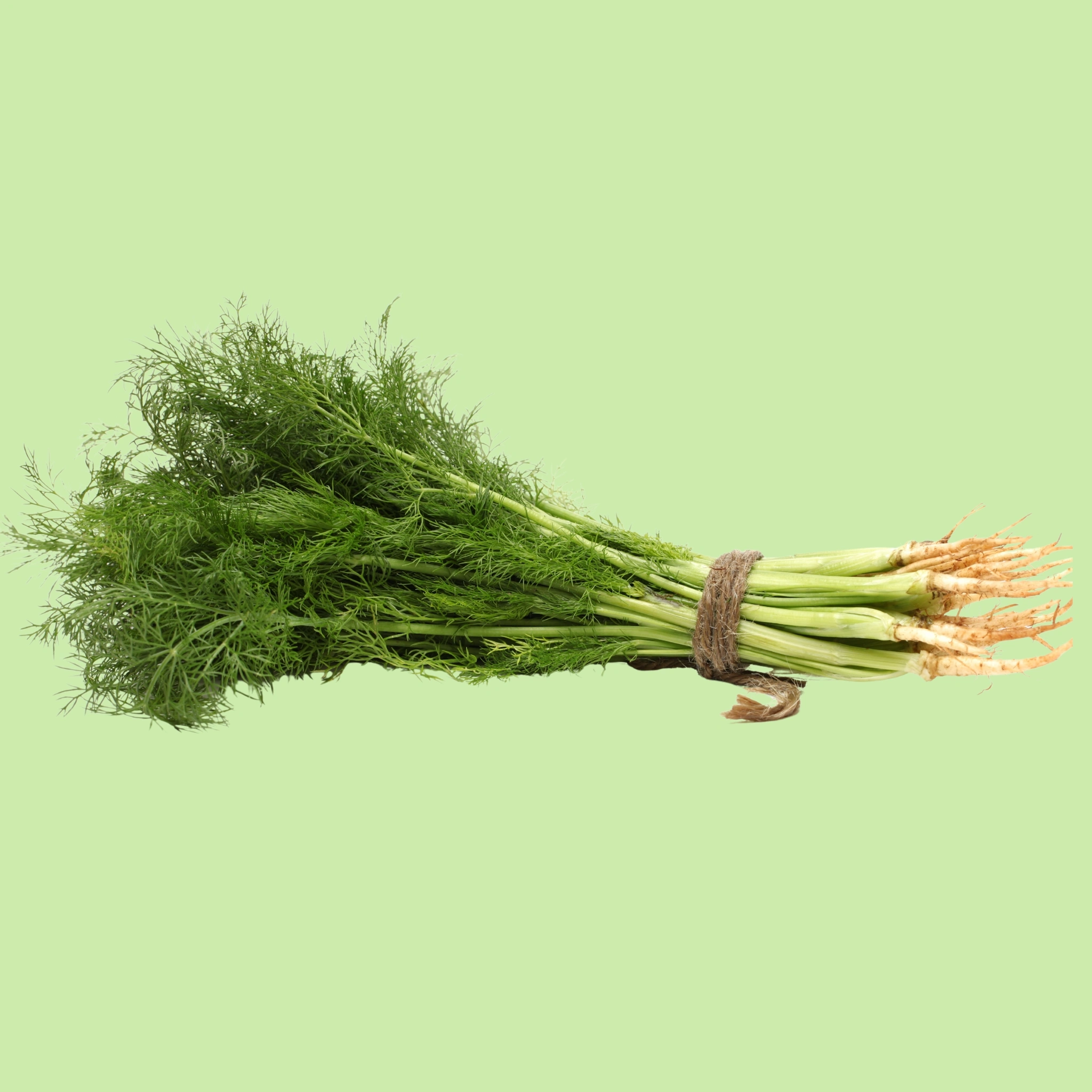 Dill - 100g