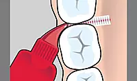 STIM Floss Mint Dental Floss – Expanding Interdental Floss