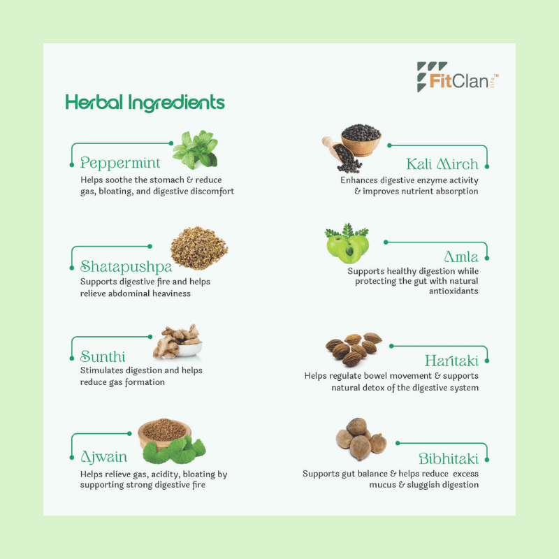 Digestion Enhance Herbal Tea | Ayurvedic Digestive Tea with Fennel, Ginger & Mint