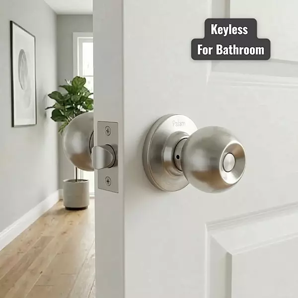 Palam Cyl Bathroom Lock 3010