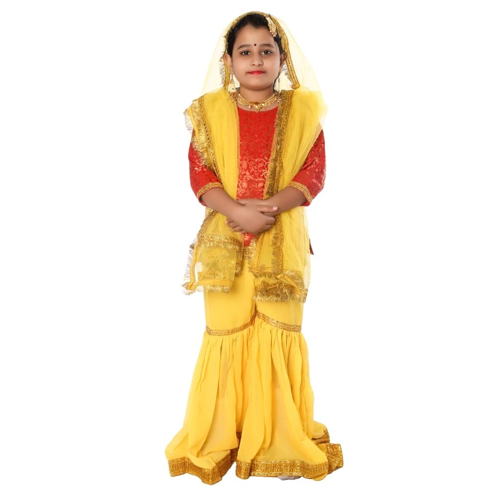 Kashmiri Dance Sharara Fancy Dress Costume