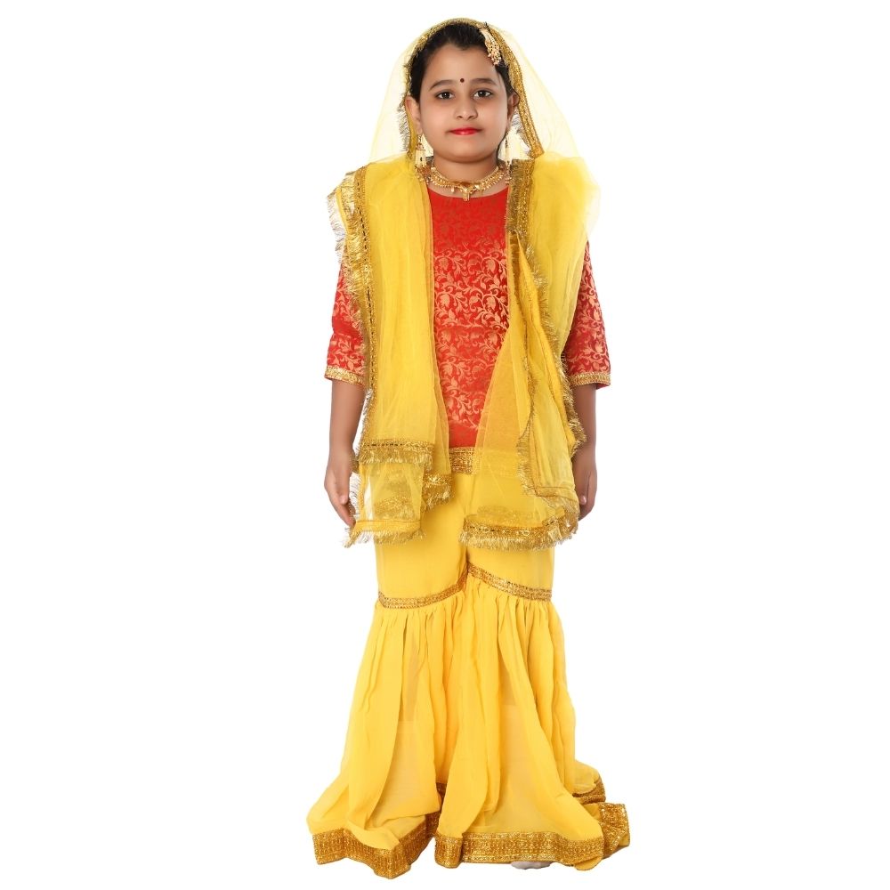 Kashmiri Dance Sharara Fancy Dress Costume