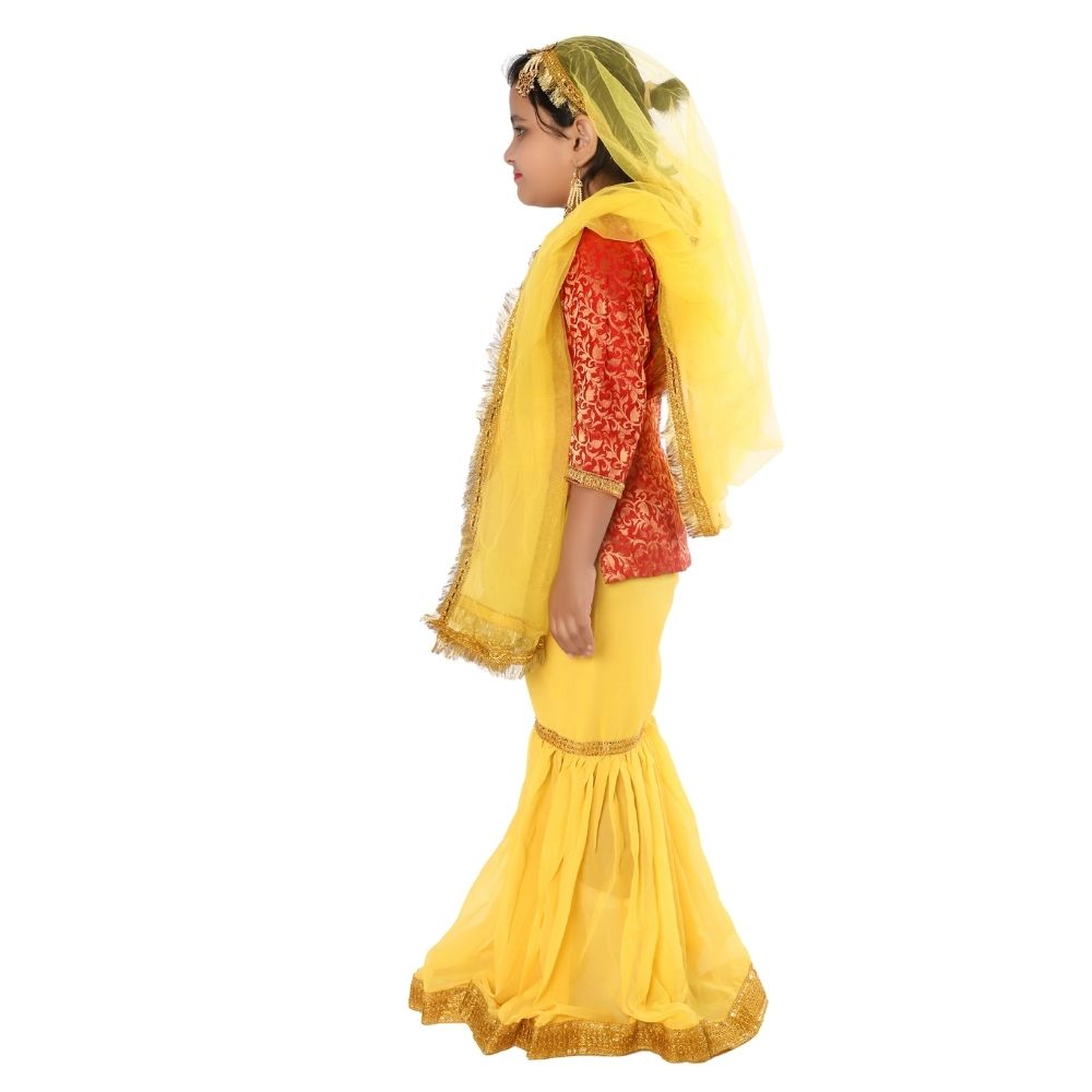 Kashmiri Dance Sharara Fancy Dress Costume