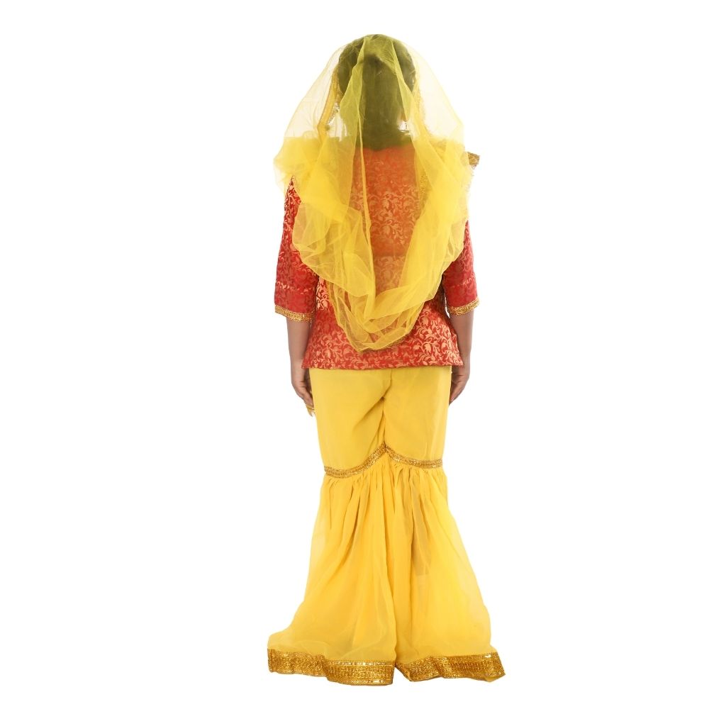 Kashmiri Dance Sharara Fancy Dress Costume