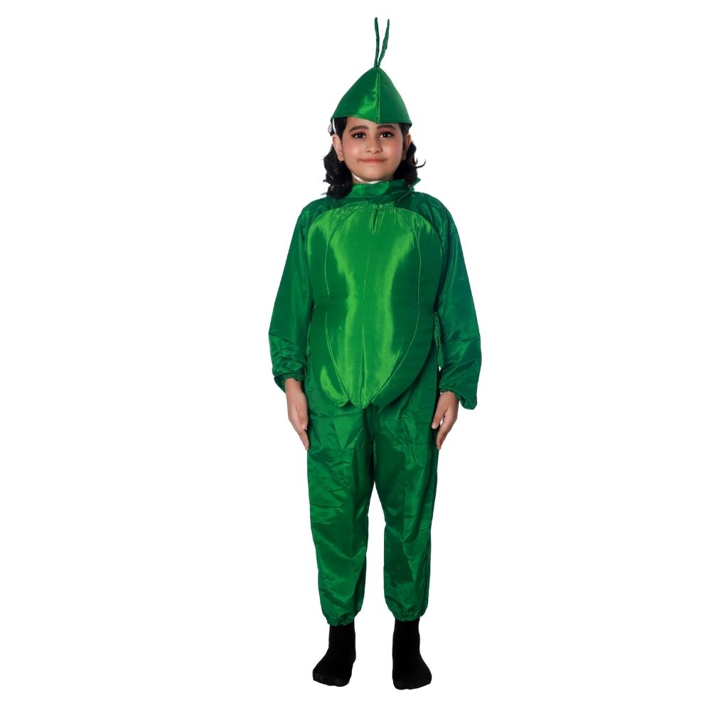 Capsicum Vegetable Fancy Dress Costume